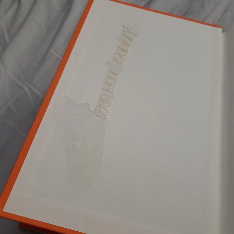 A Beautifully Foolish Endeavor