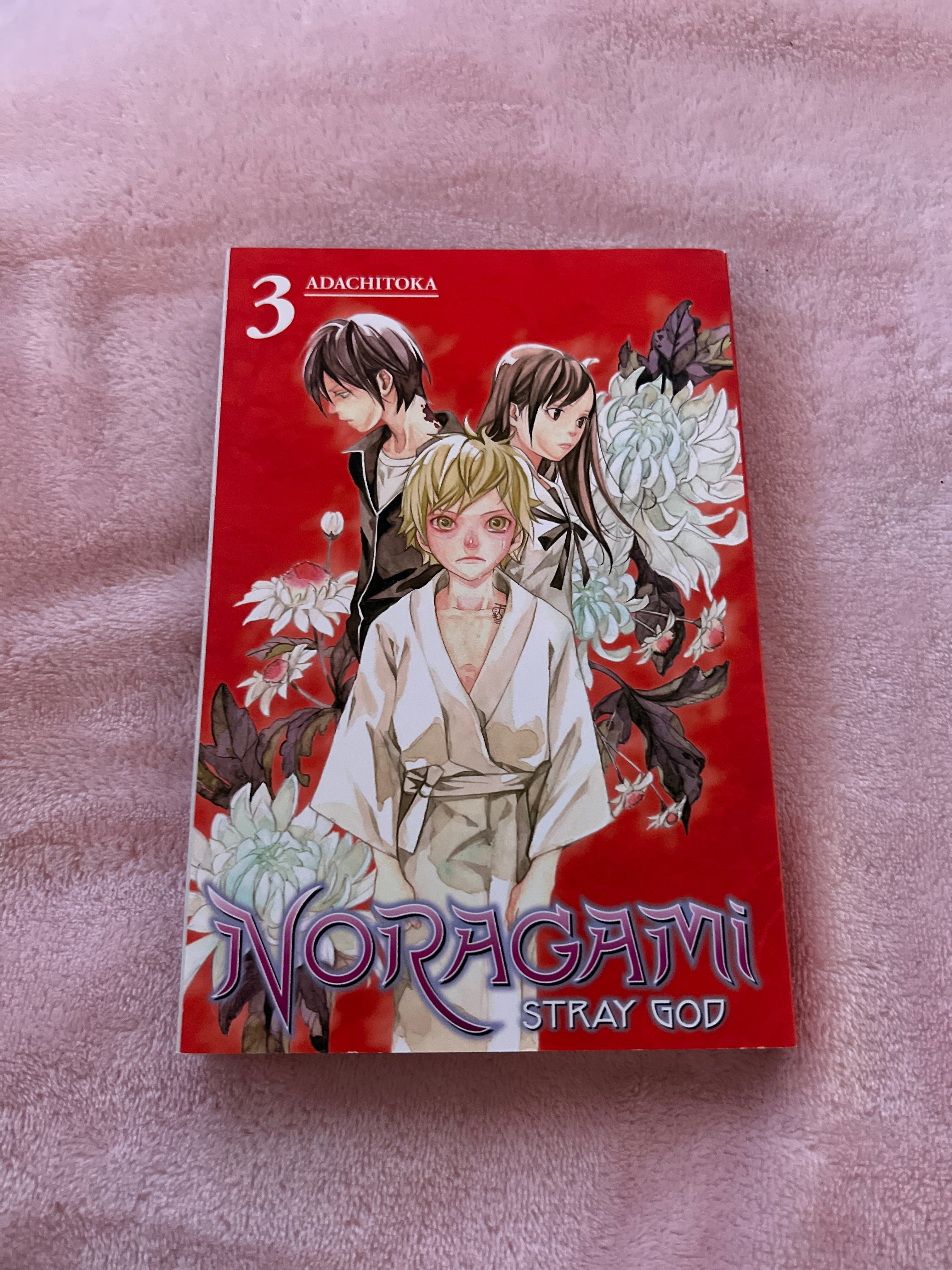 Noragami: Stray God 3