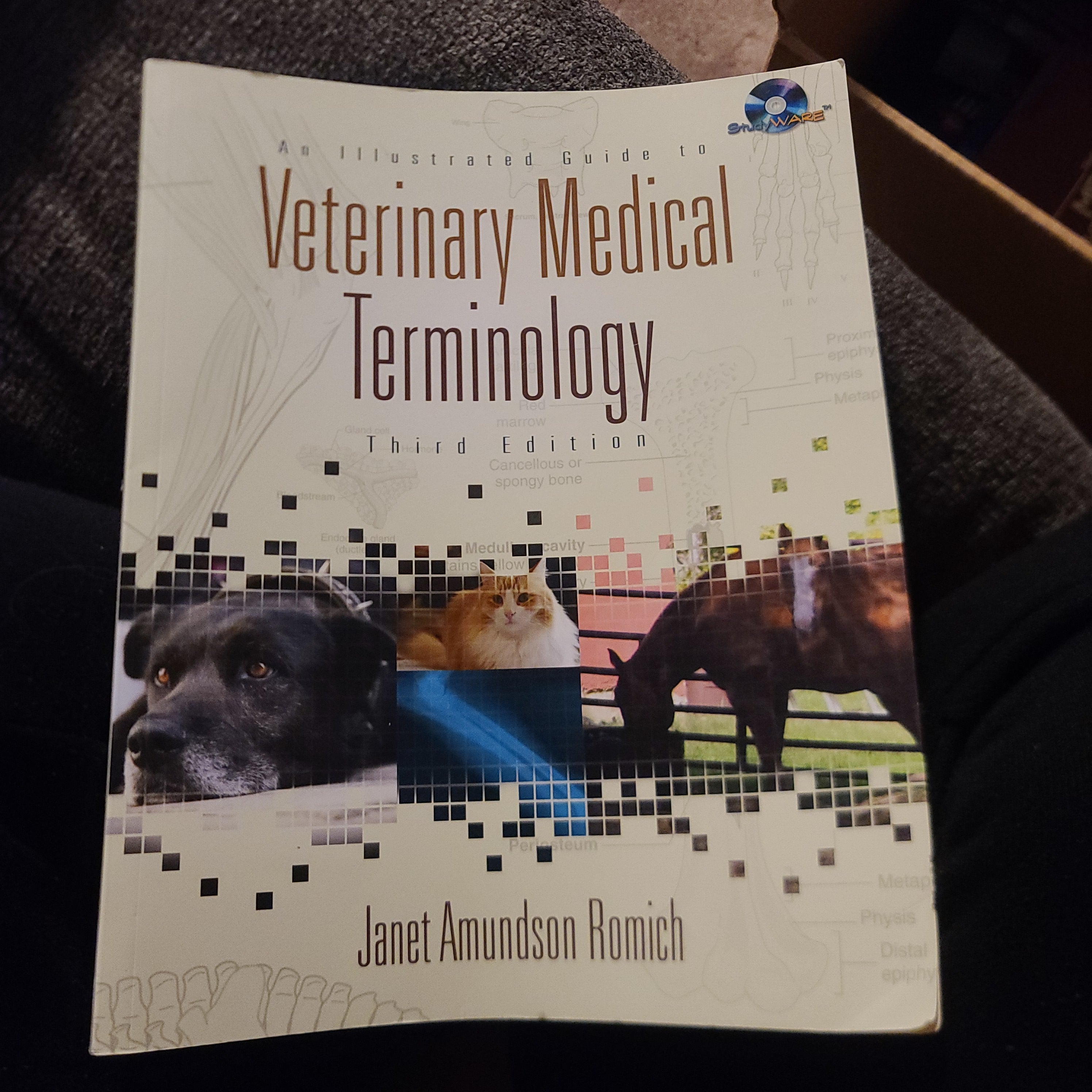 An Illustrated Guide to Veterinary Medical Terminology