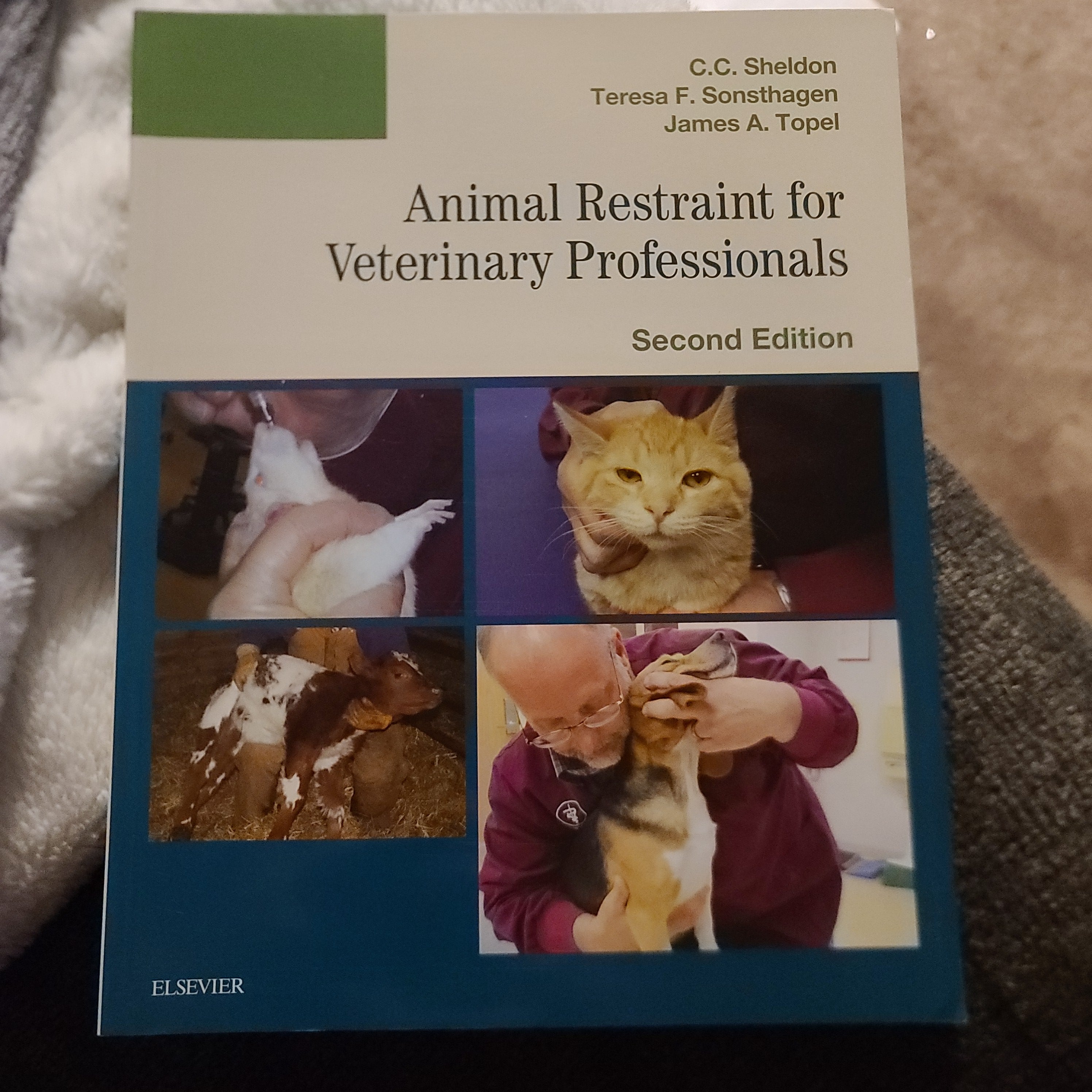 Animal Restraint for Veterinary Professionals