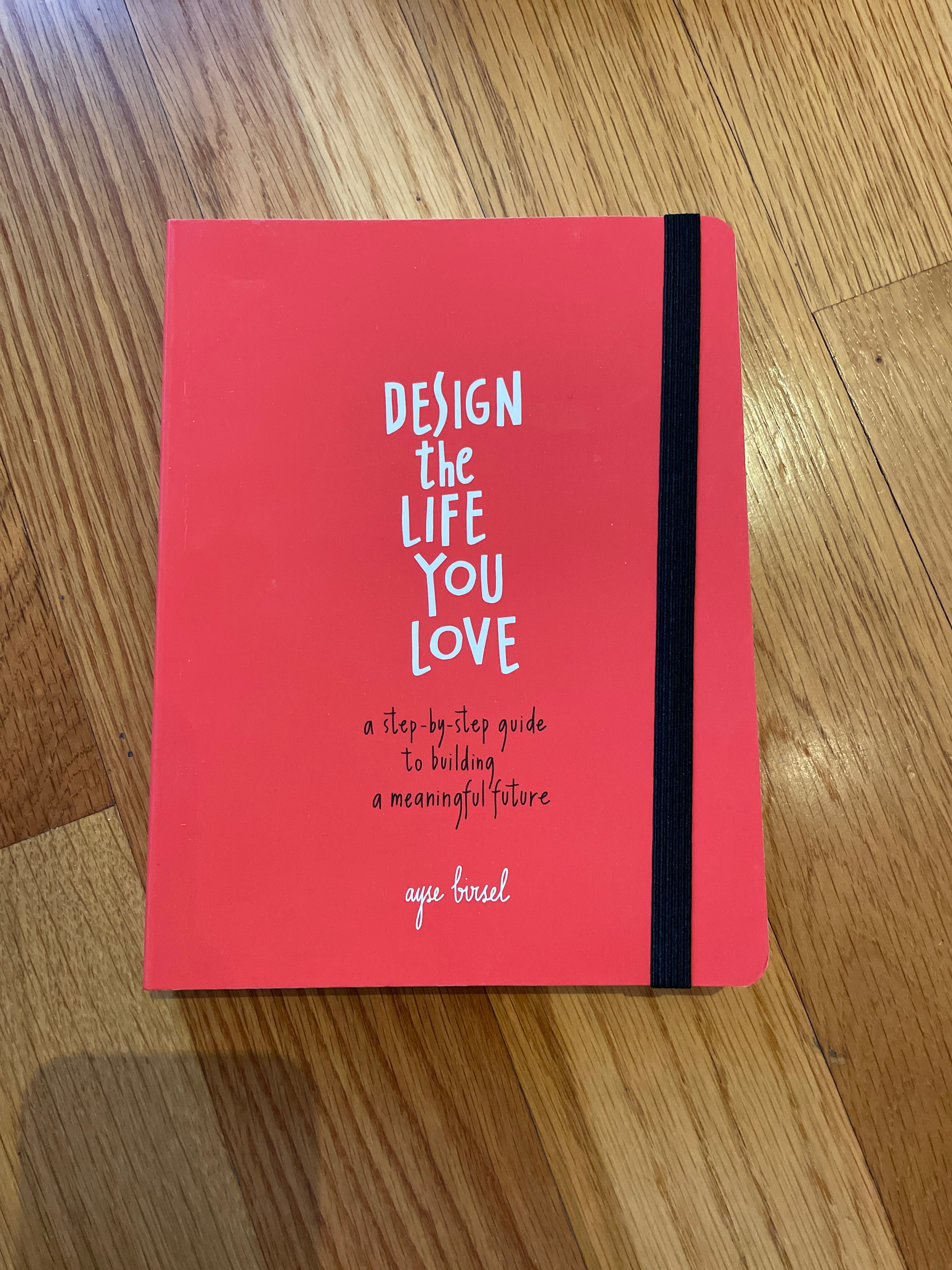 Design the Life You Love