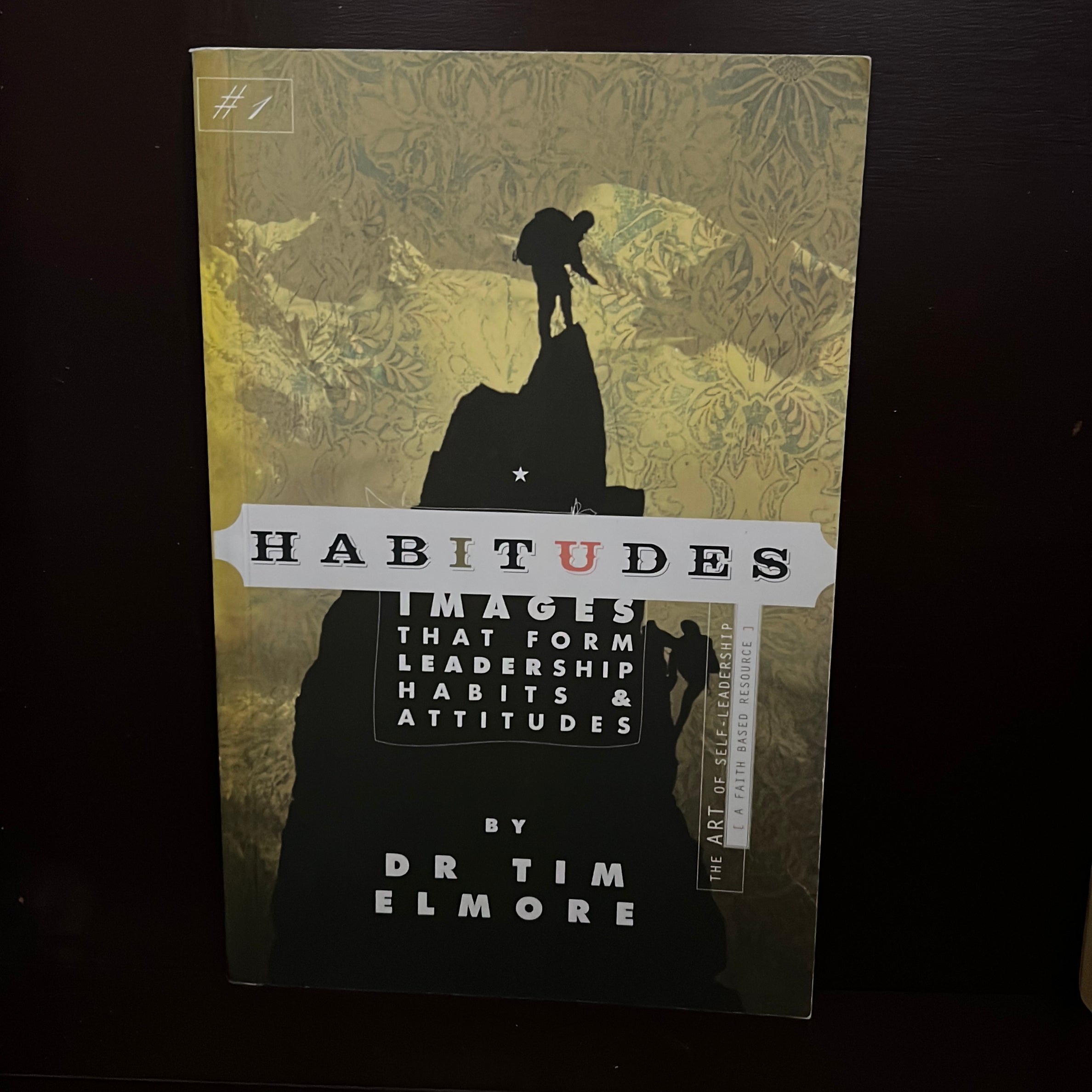 Habitudes, the Art of Self Leadership (A Faith Based Resource)