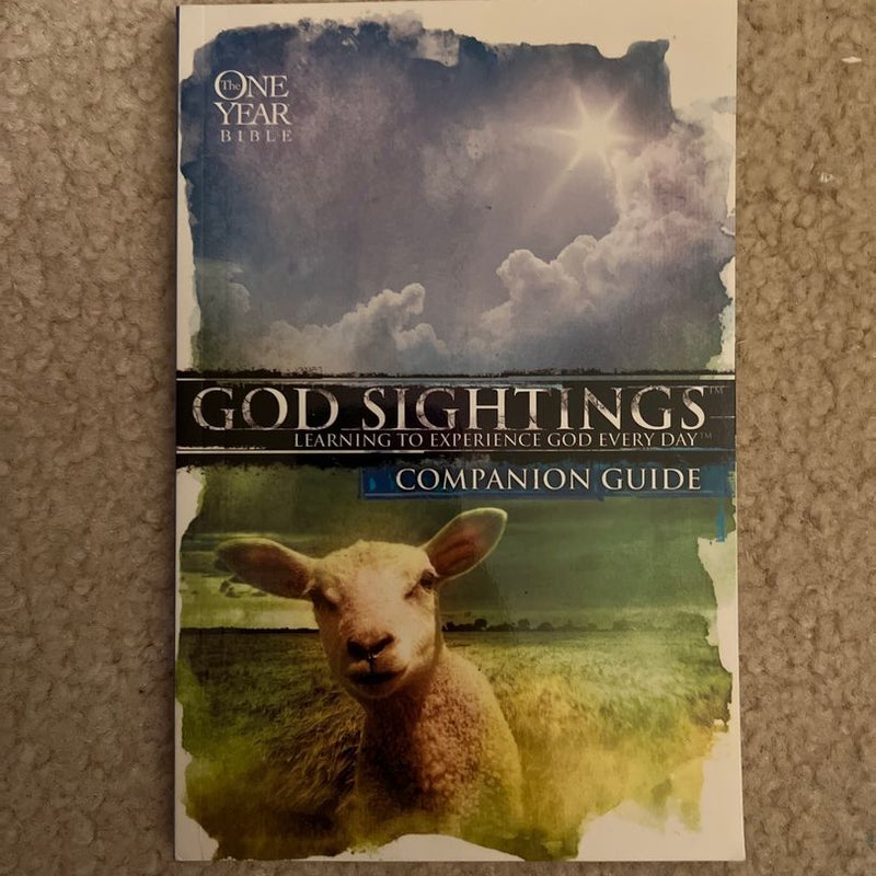 God Sightings: the One Year Companion Guide