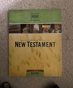 Entering the New Testament