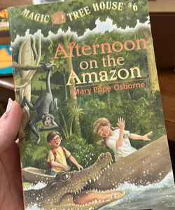 Afternoon on the Amazon