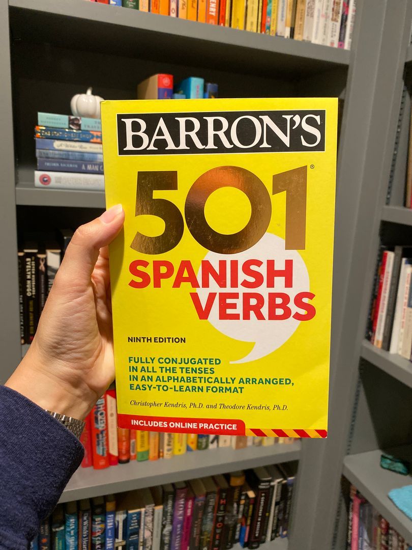 501 Spanish Verbs