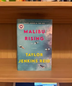 Malibu Rising