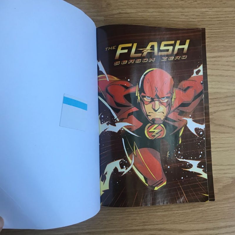 The Flash: Season Zero