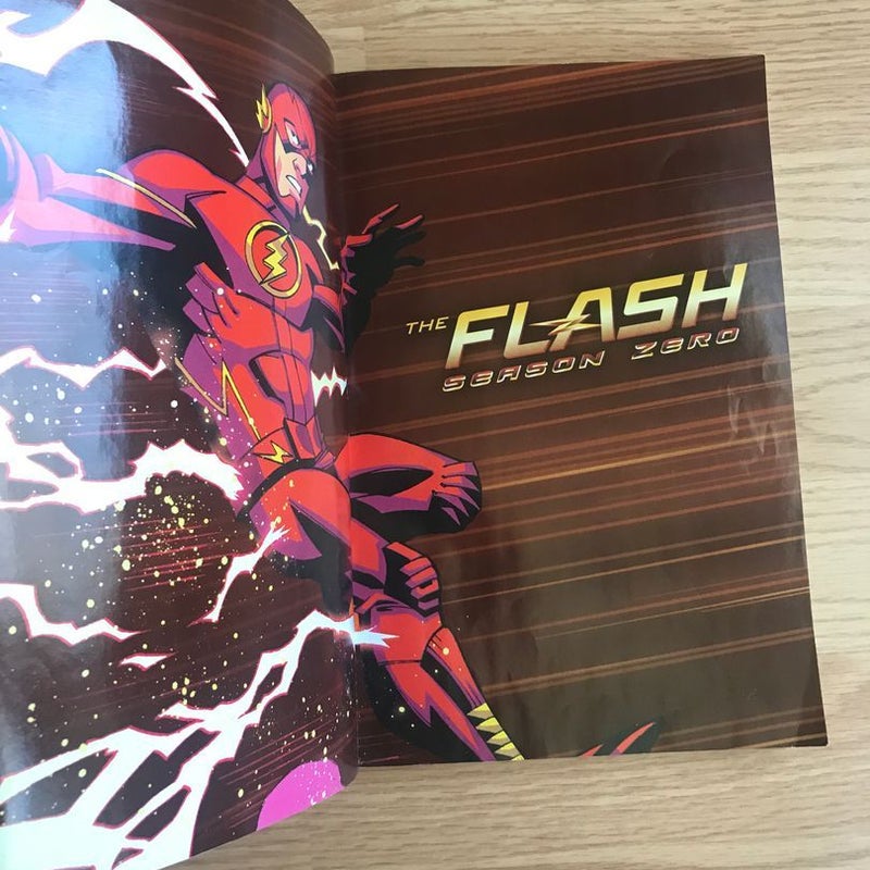 The Flash: Season Zero