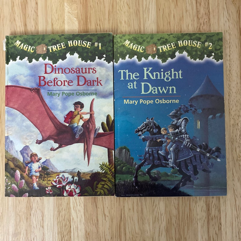 First 2 Magic Tree House Books