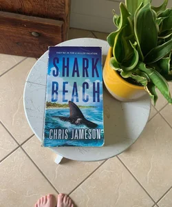 Shark Beach