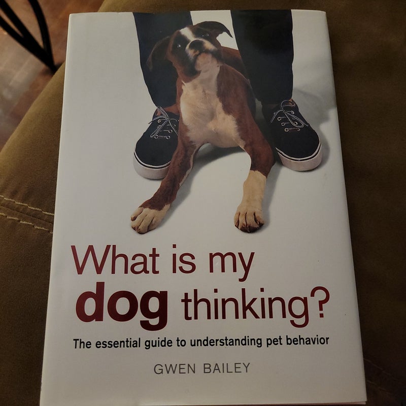 What is My Dog Thinking?