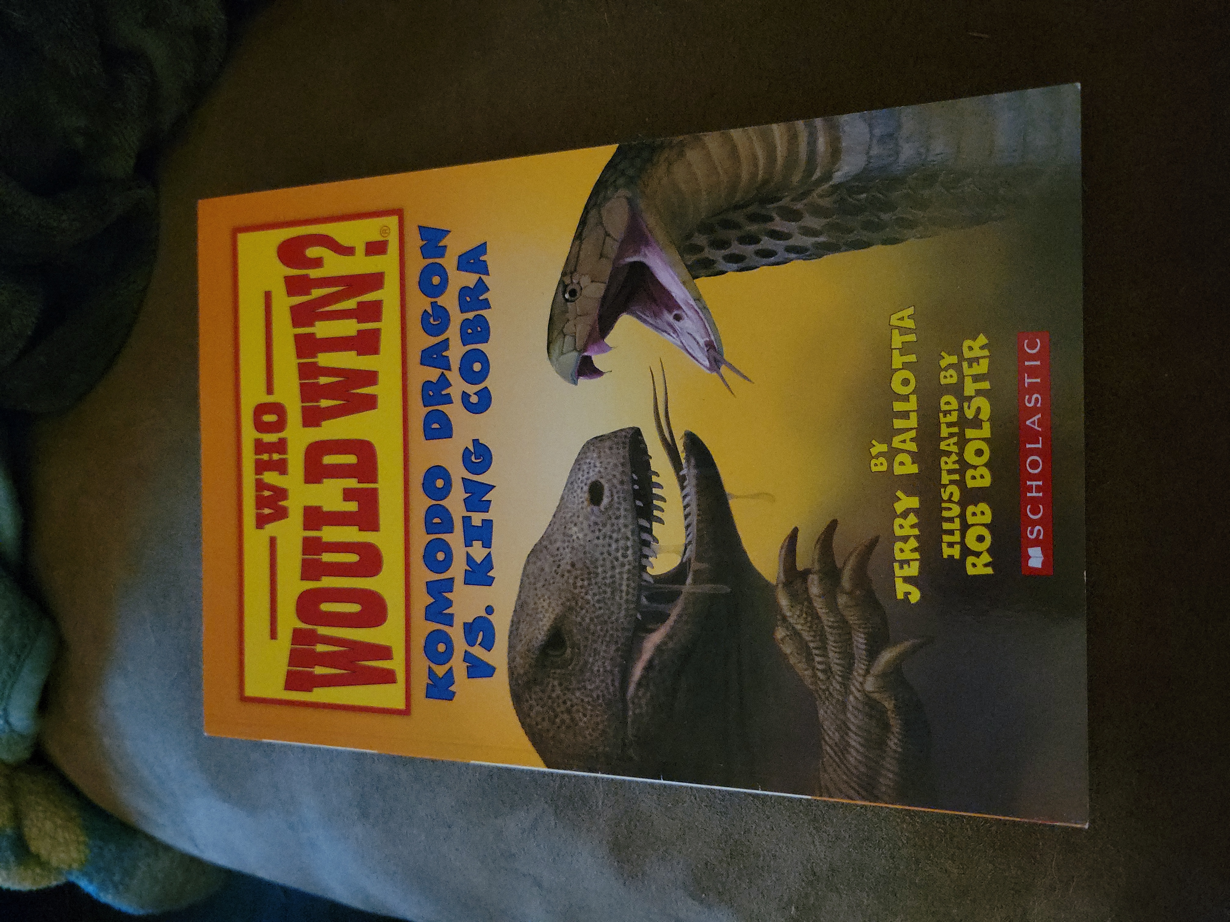 Sale image for ca110919-93c4-4bf3-a093-1c079fd0072c-lDtLidflscXLTgFiKX566GEBdzF2