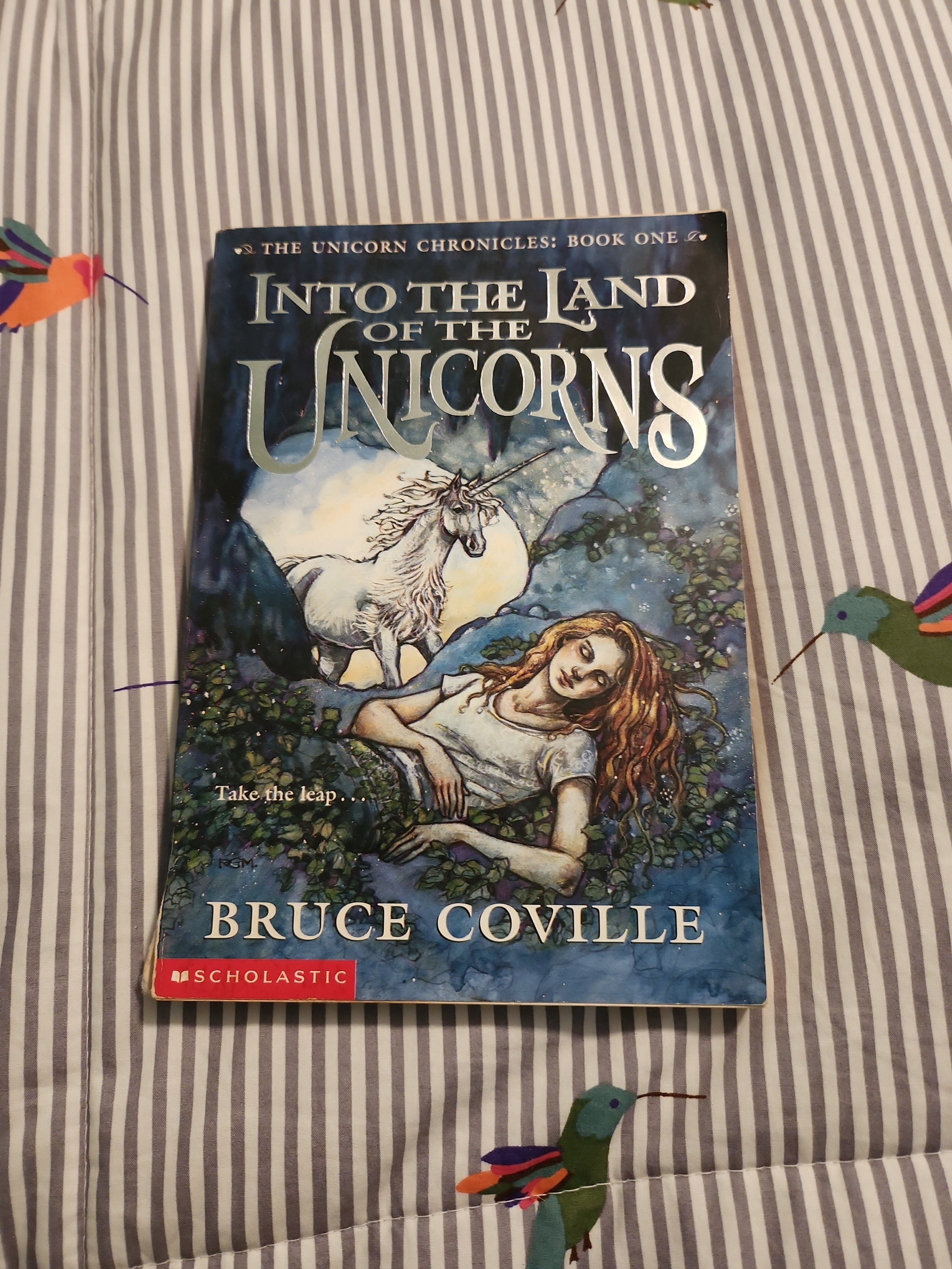 Into the Land of the Unicorns