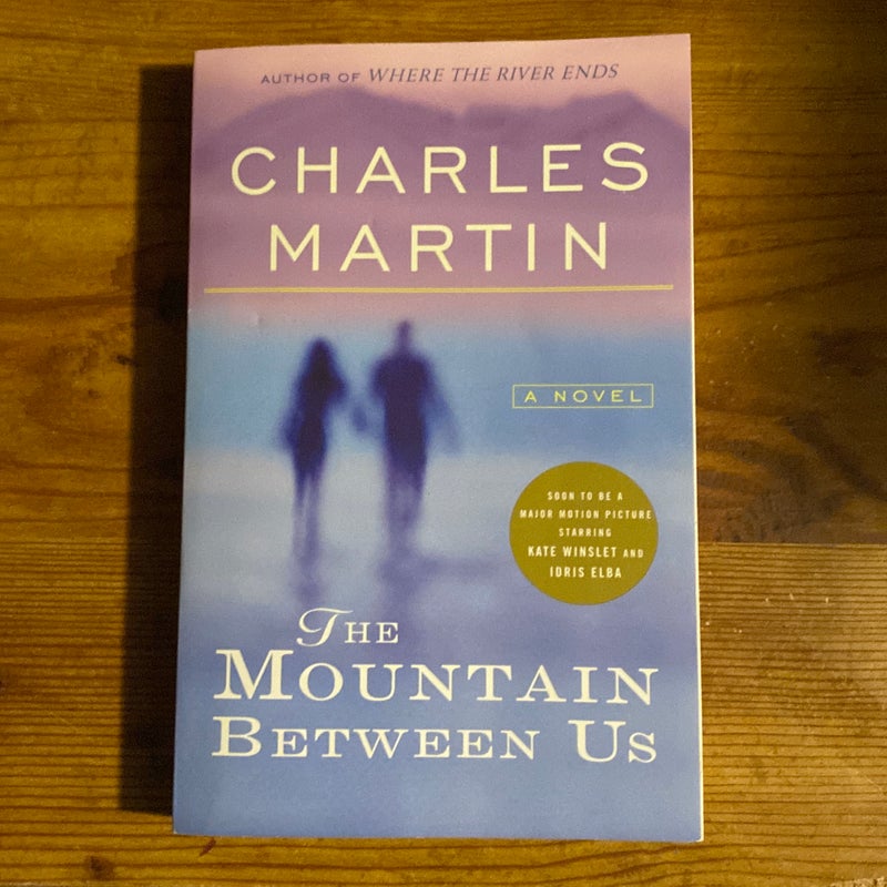 The Mountain Between Us