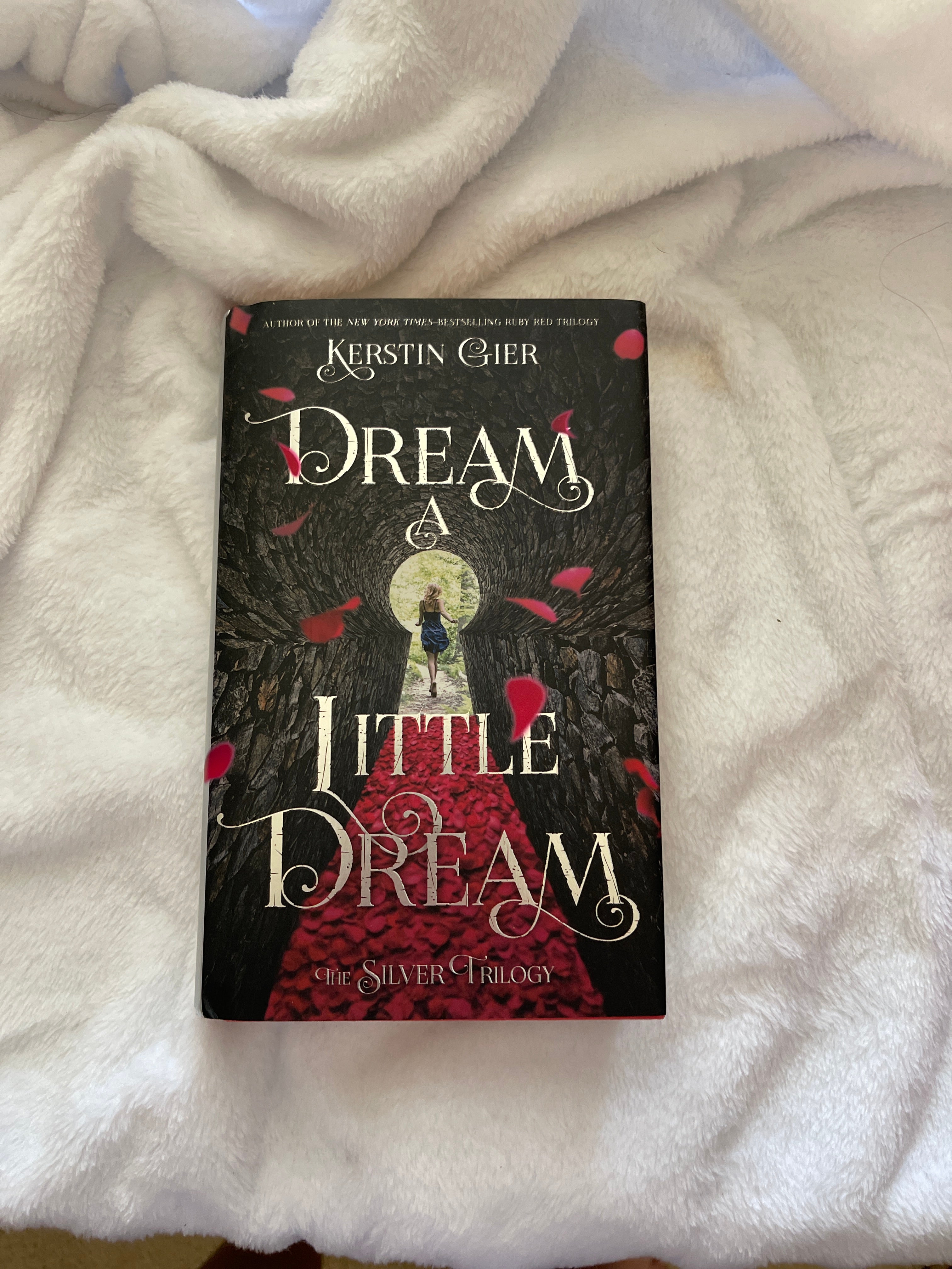 Dream a Little Dream