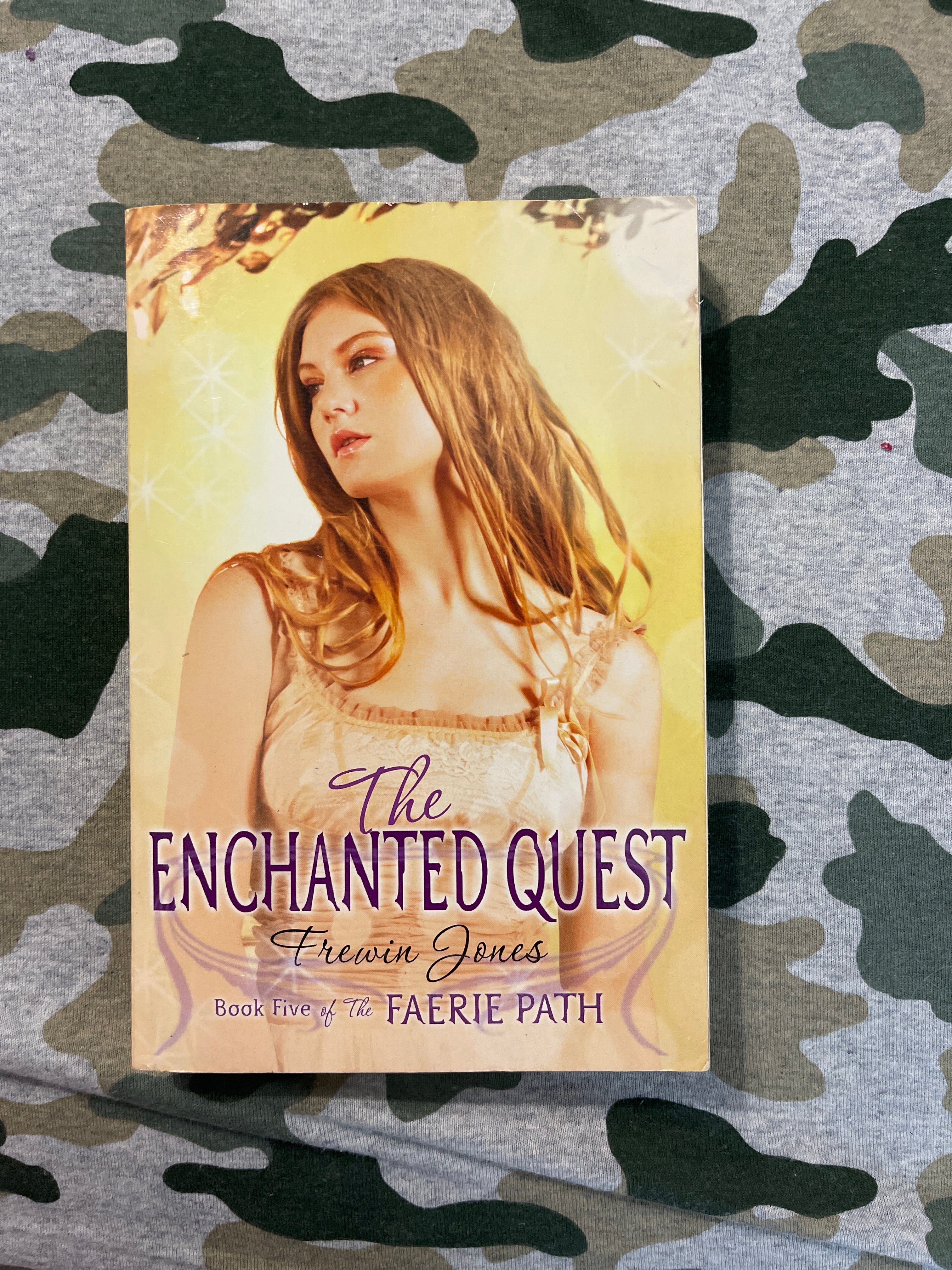 Faerie Path #5: the Enchanted Quest