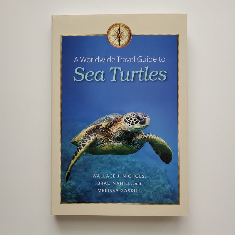 A Worldwide Travel Guide to Sea Turtles 