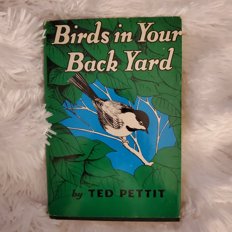 Birds in Your Backyard