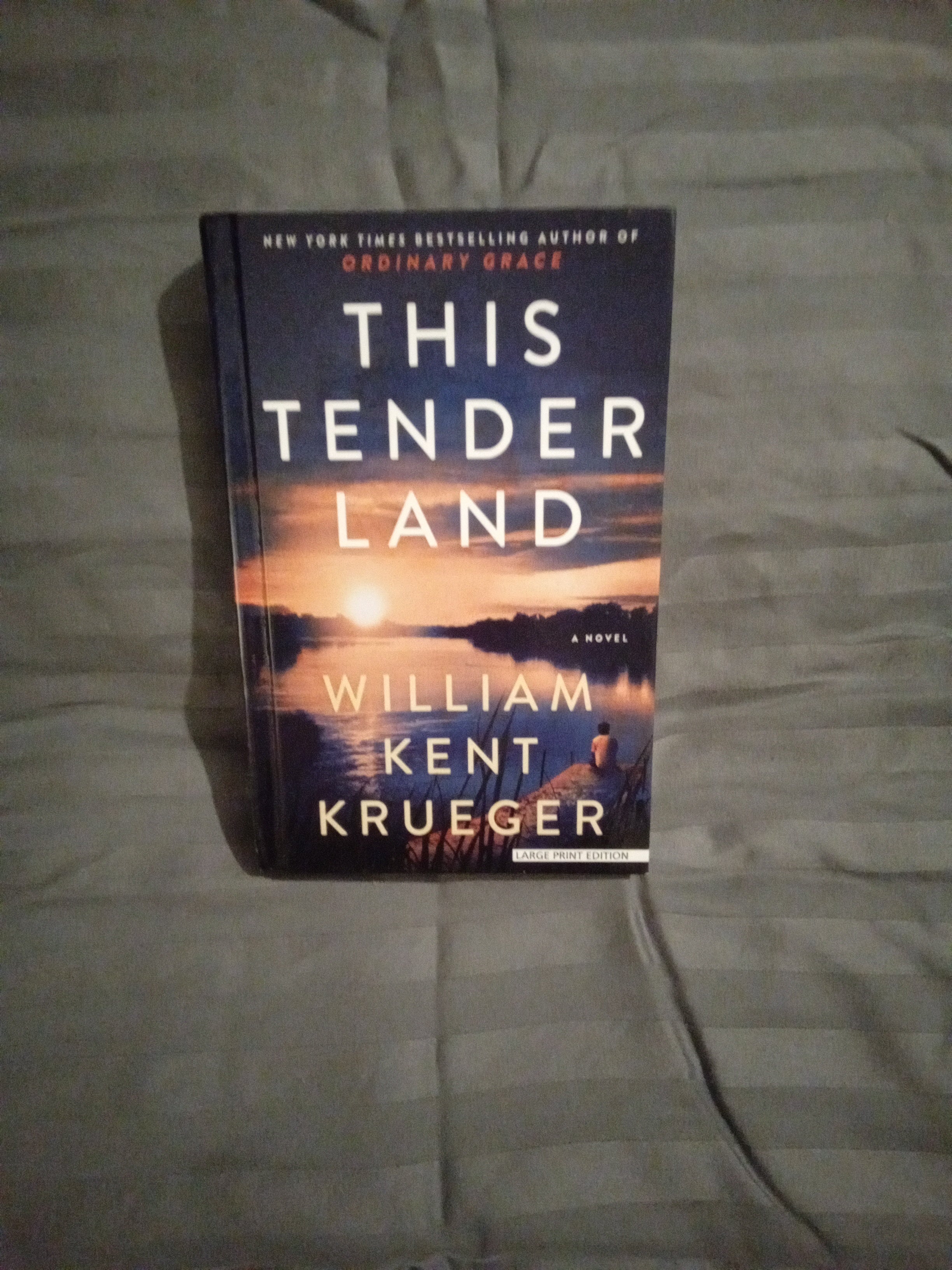 This Tender Land