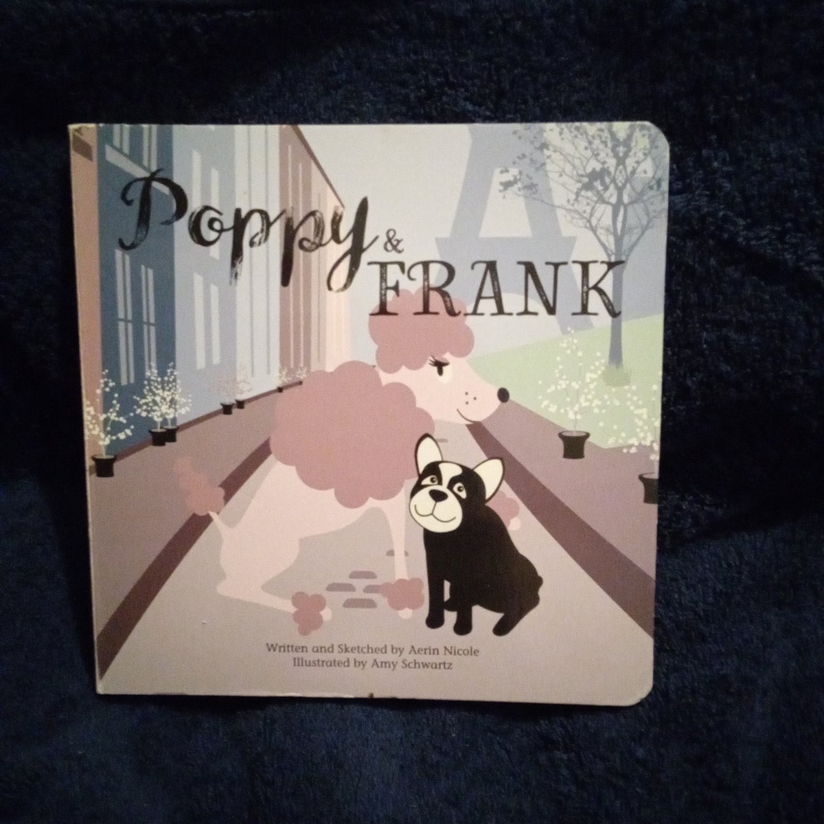 Poppy Frank by Aerie Nicole and Amy Schwartz Hardcover