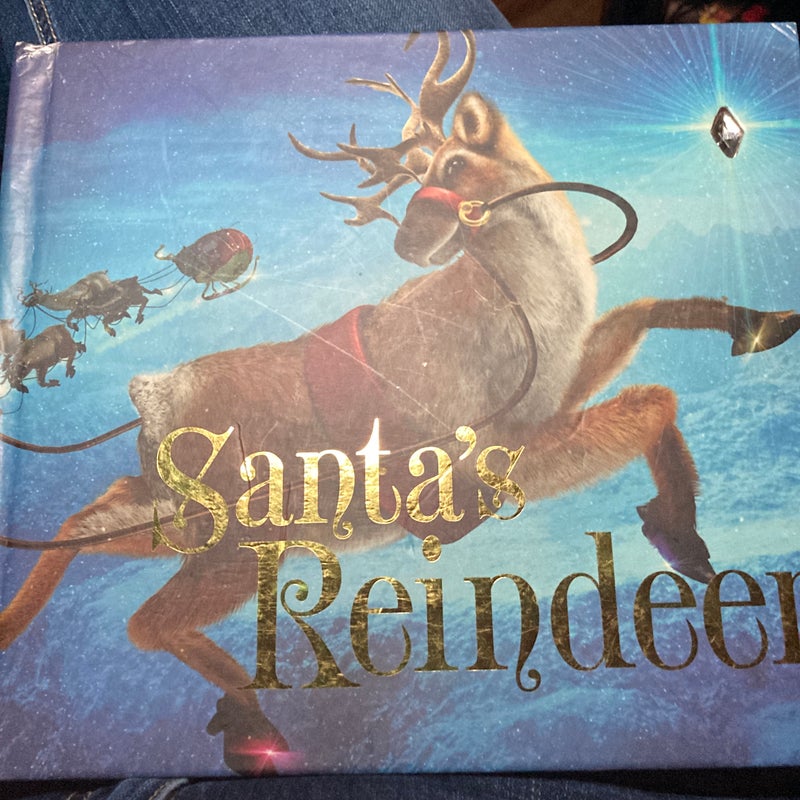 Santa's Reindeer