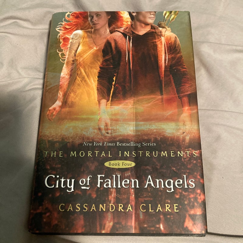 City of Fallen Angels