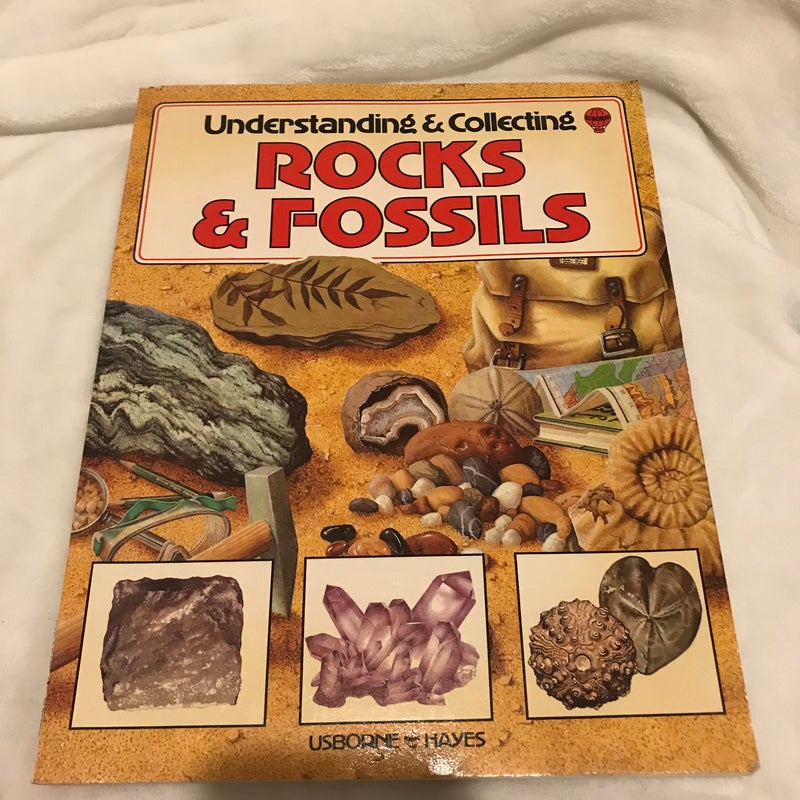 Understanding and Collecting Rocks and Fossils 