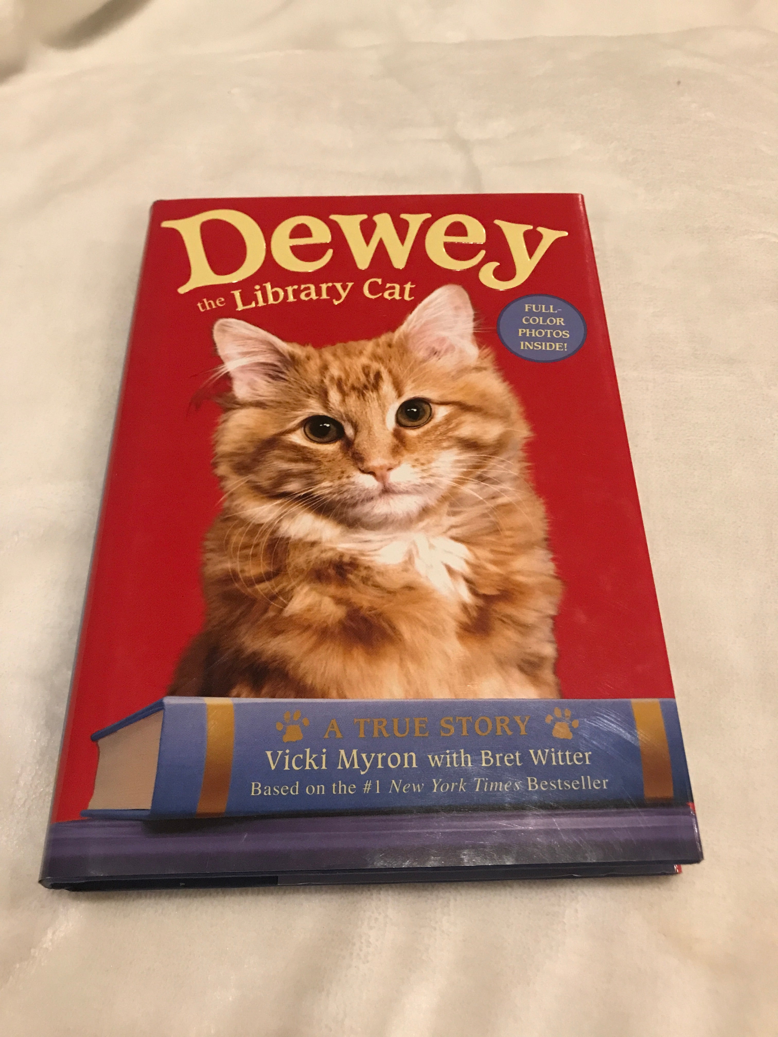 Dewey the Library Cat: a True Story