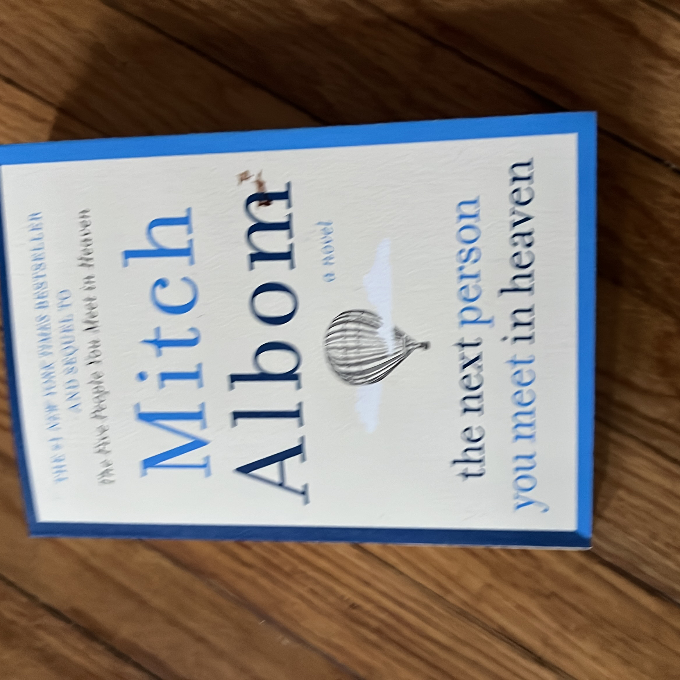 The Next Person You Meet in Heaven