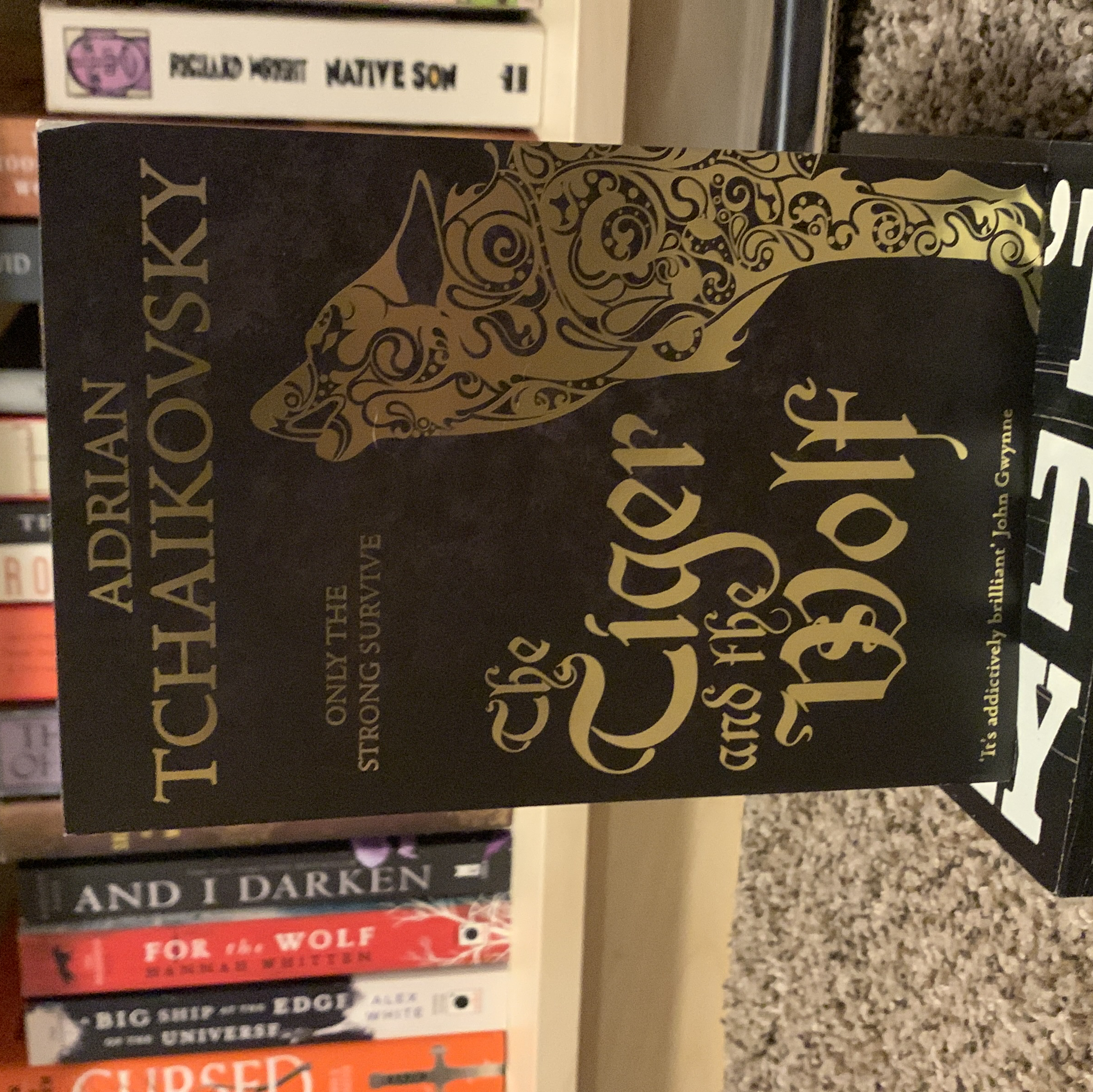 The Tiger and the Wolf: Echoes of the Fall 1