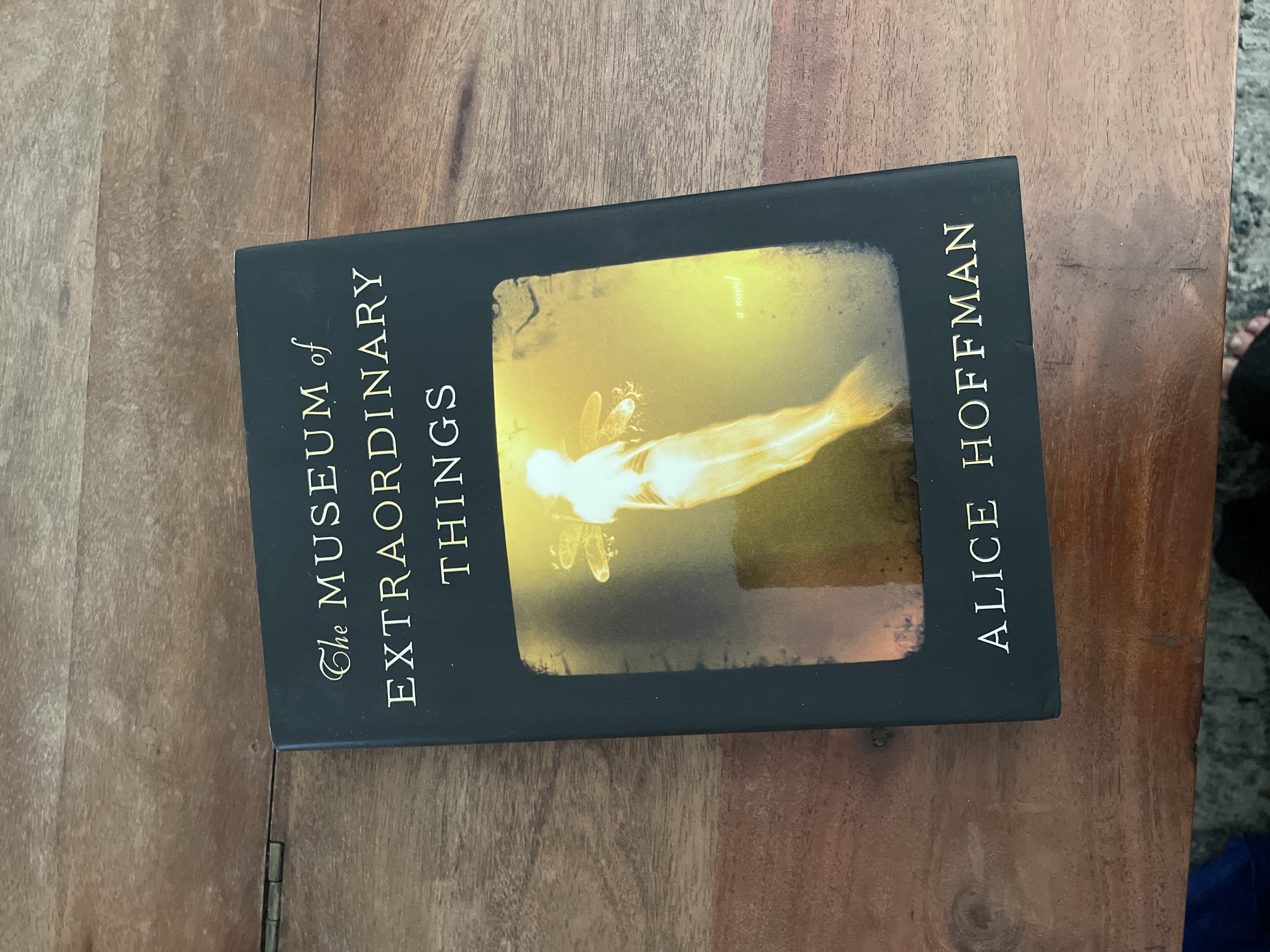 The Museum of Extraordinary Things