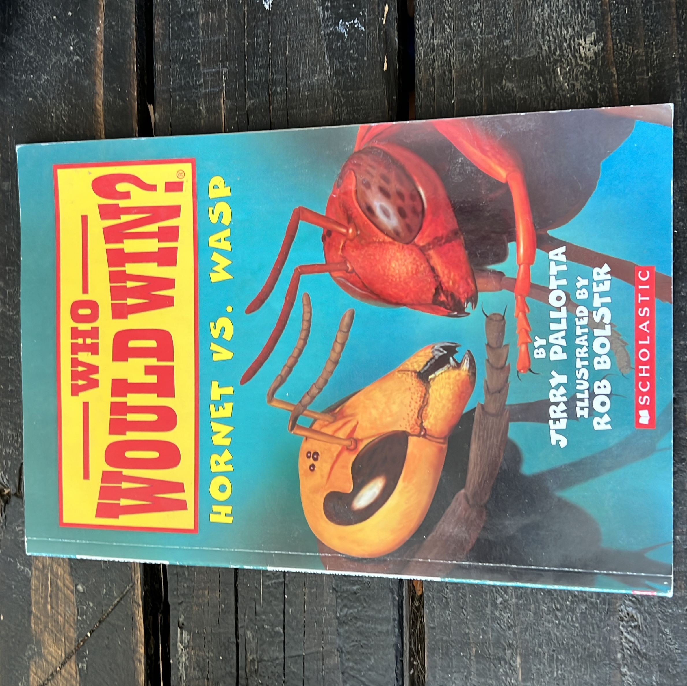 Sale image for 09fbdd15-ca67-4bf8-b7fc-0c3b019f7ea8-lgYhTWC3kmPfW0dkSl7ncl90APw1