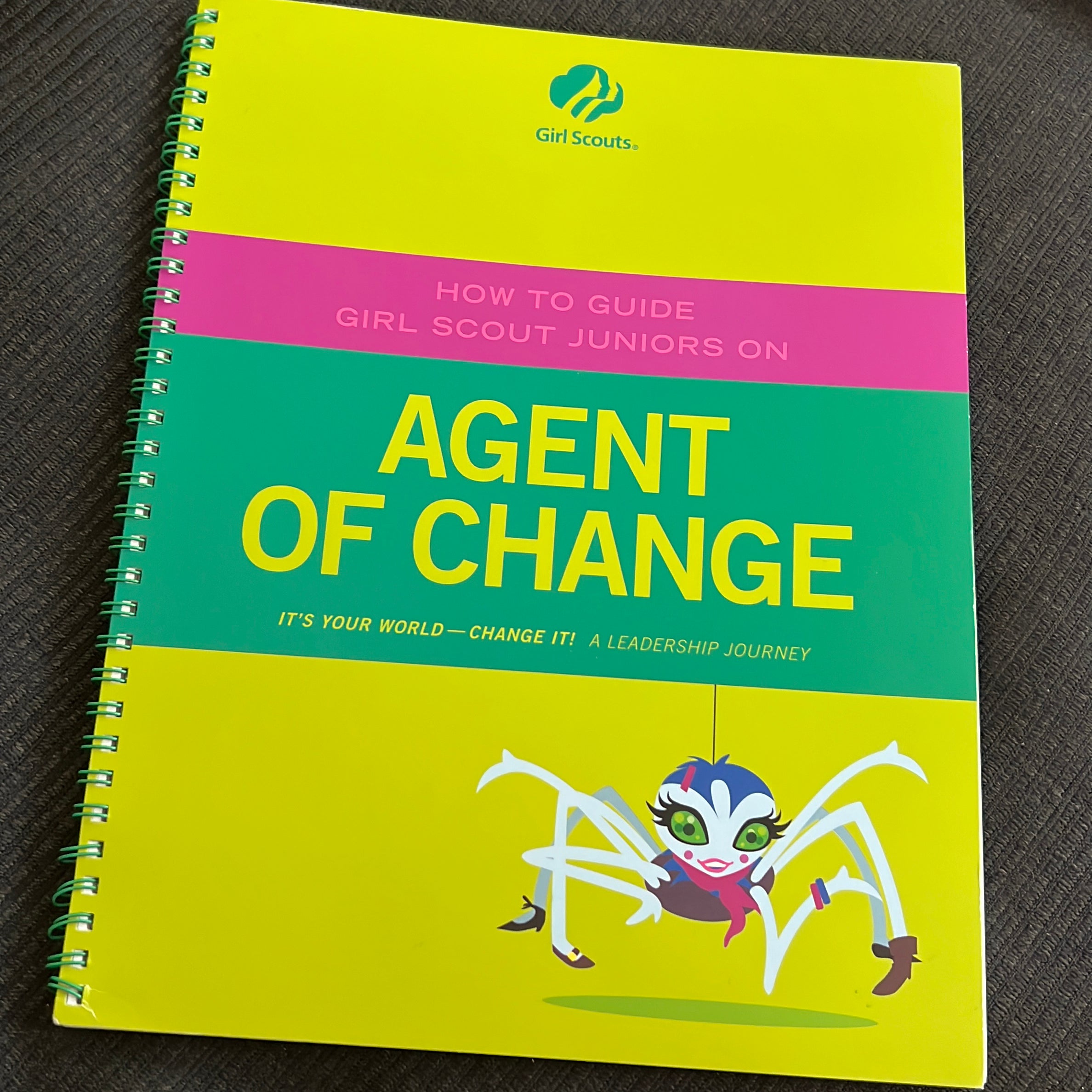 How to Guide Girl Scout Juniors on Agent of Change