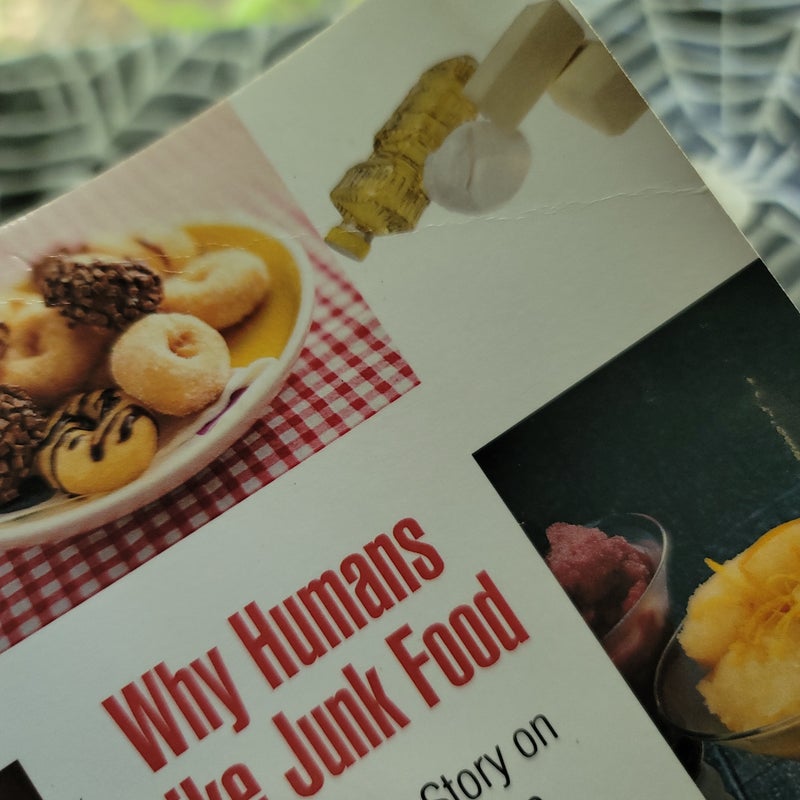 Why Humans Like Junk Food