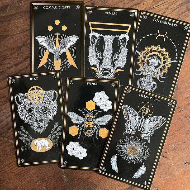 Wild Mystic Oracle Card Set