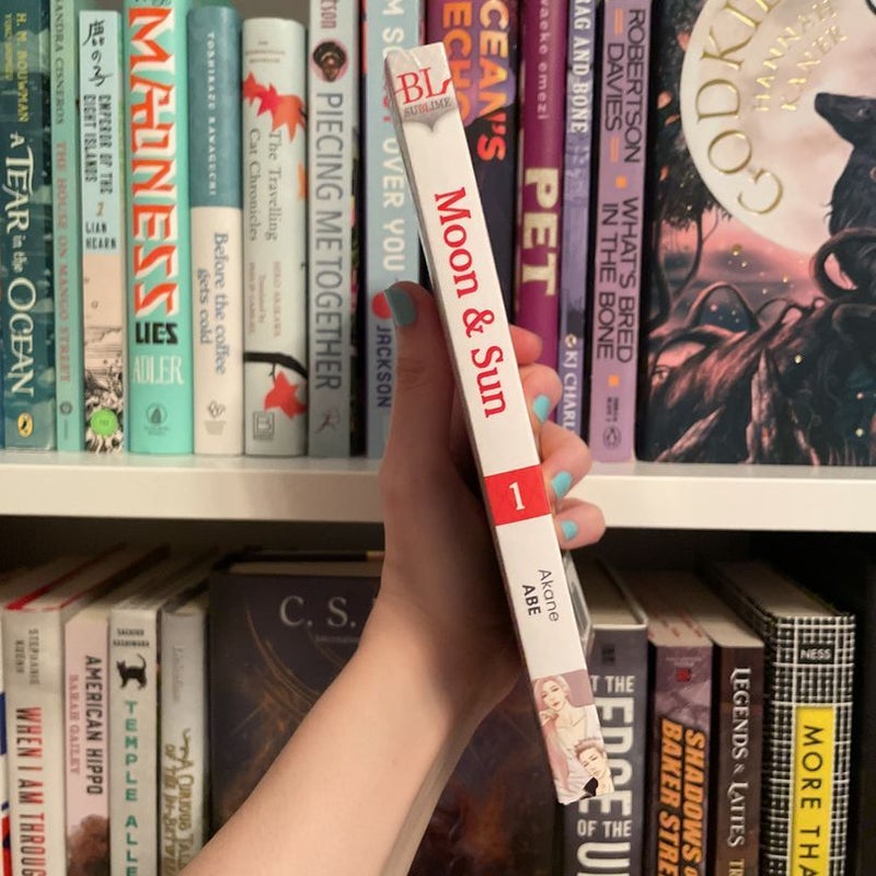 Moon and Sun, Vol. 1