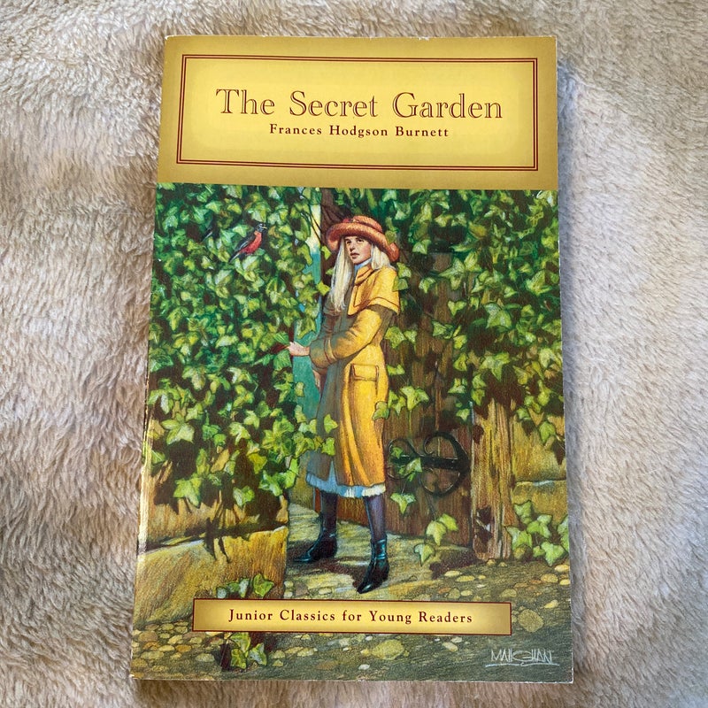 Junior Classics for Young Readers bundle 