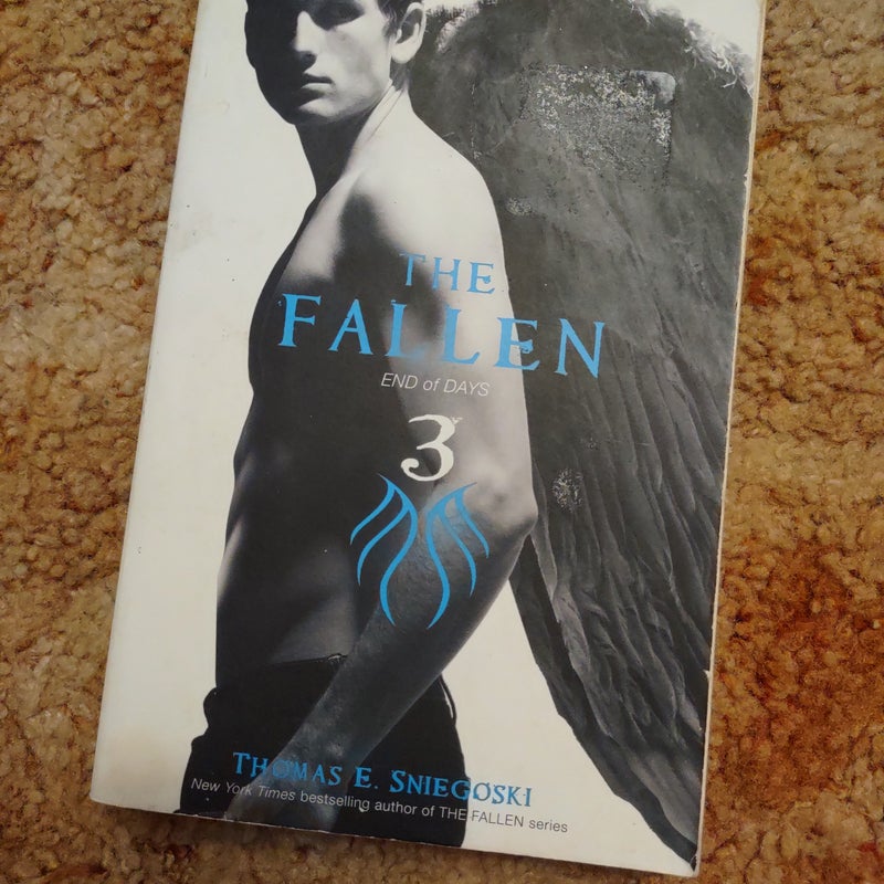 The Fallen 3