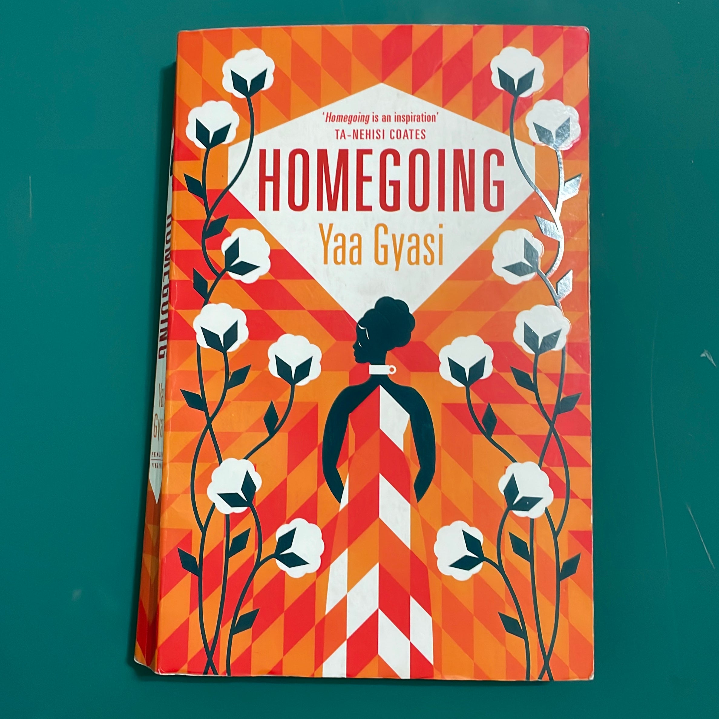 Homegoing