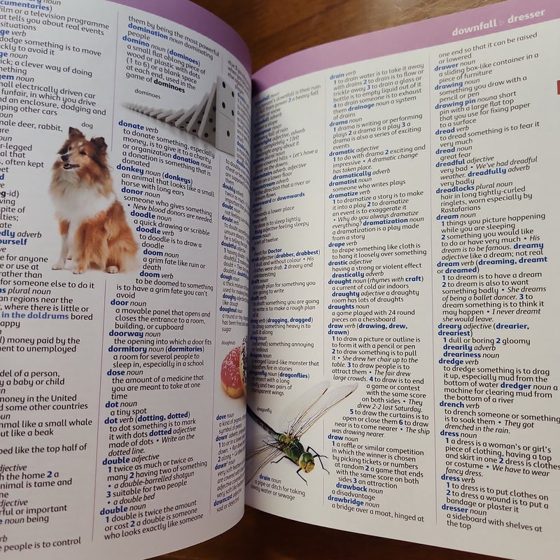 Oxford Illustrated Children's Dictionary Flexi 2010