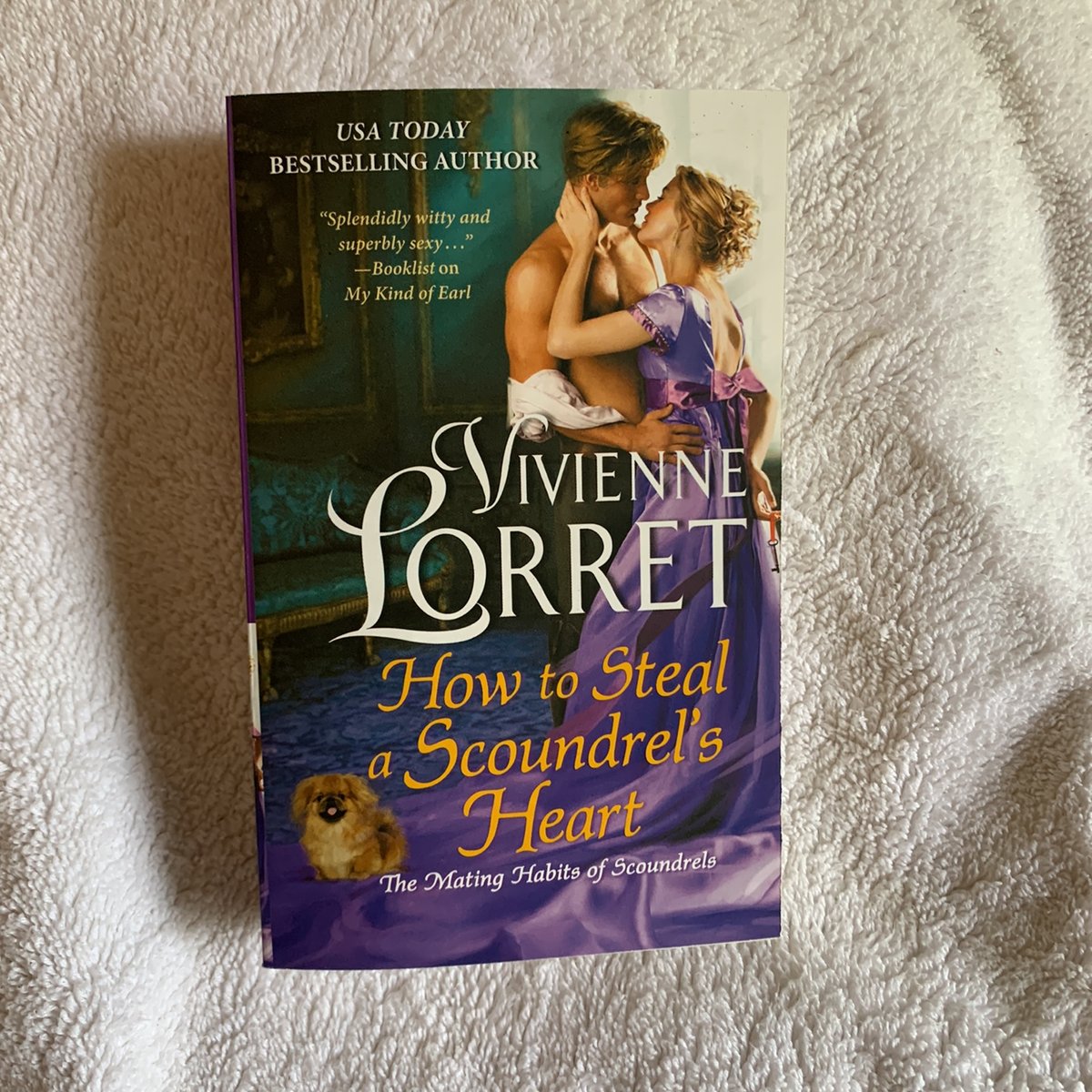 How to Steal a Scoundrel's Heart by Vivienne Lorret