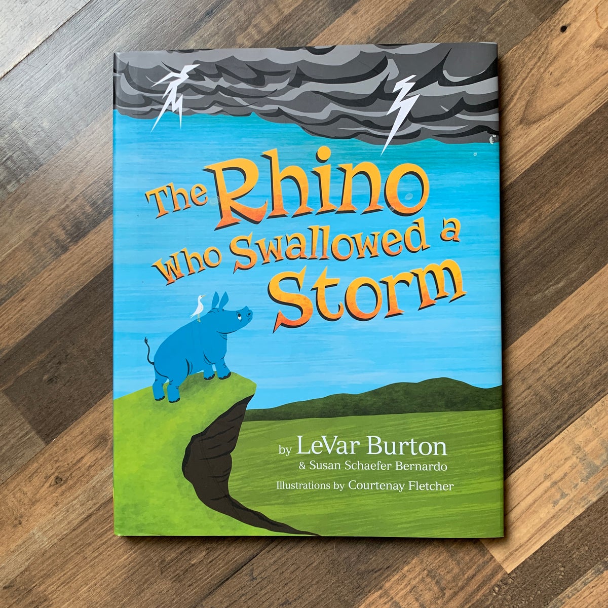 The Rhino Who Swallowed a Storm by LeVar Burton, Susan Schaefer Bernardo(01)