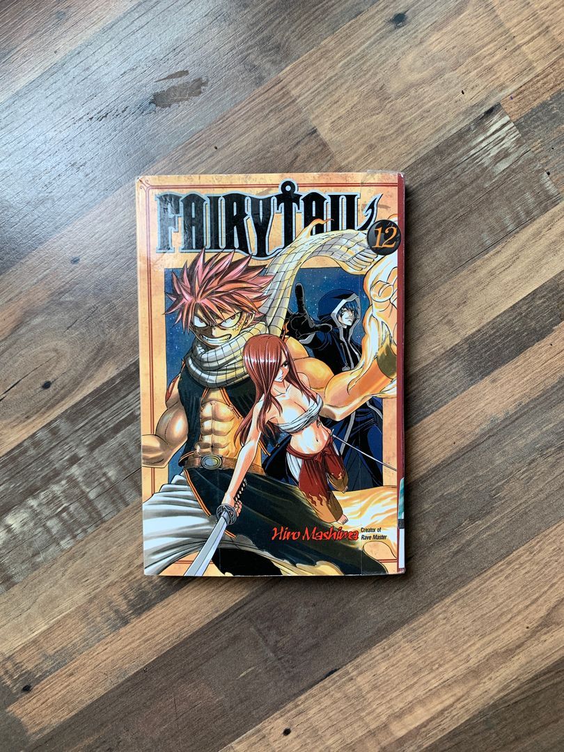 Fairy Tail 12