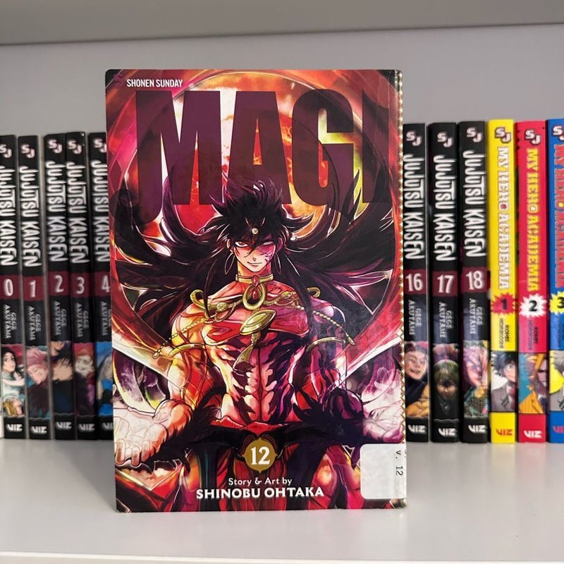 Magi: the Labyrinth of Magic, Vol. 12