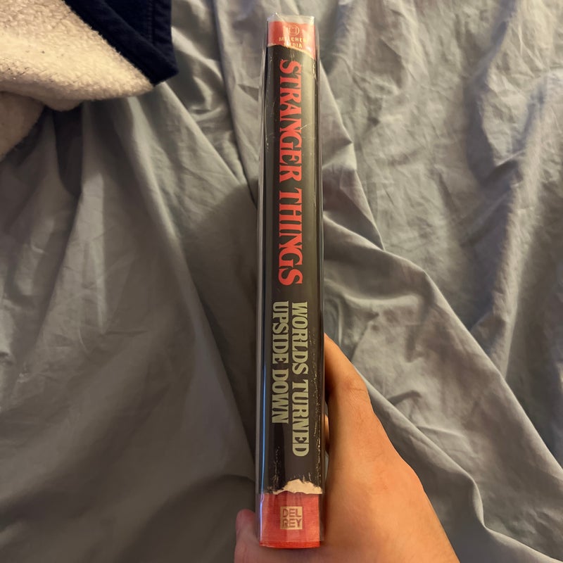 Stranger Things: Worlds Turned Upside Down - Gina McIntyre - Foto 4