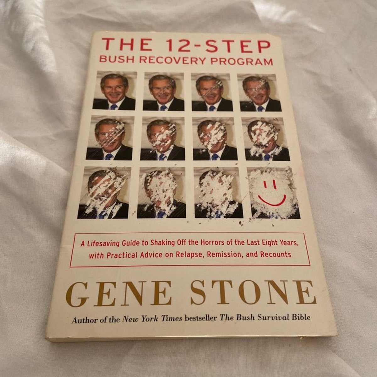 The 12-Step Bush Recovery Program by Gene Stone