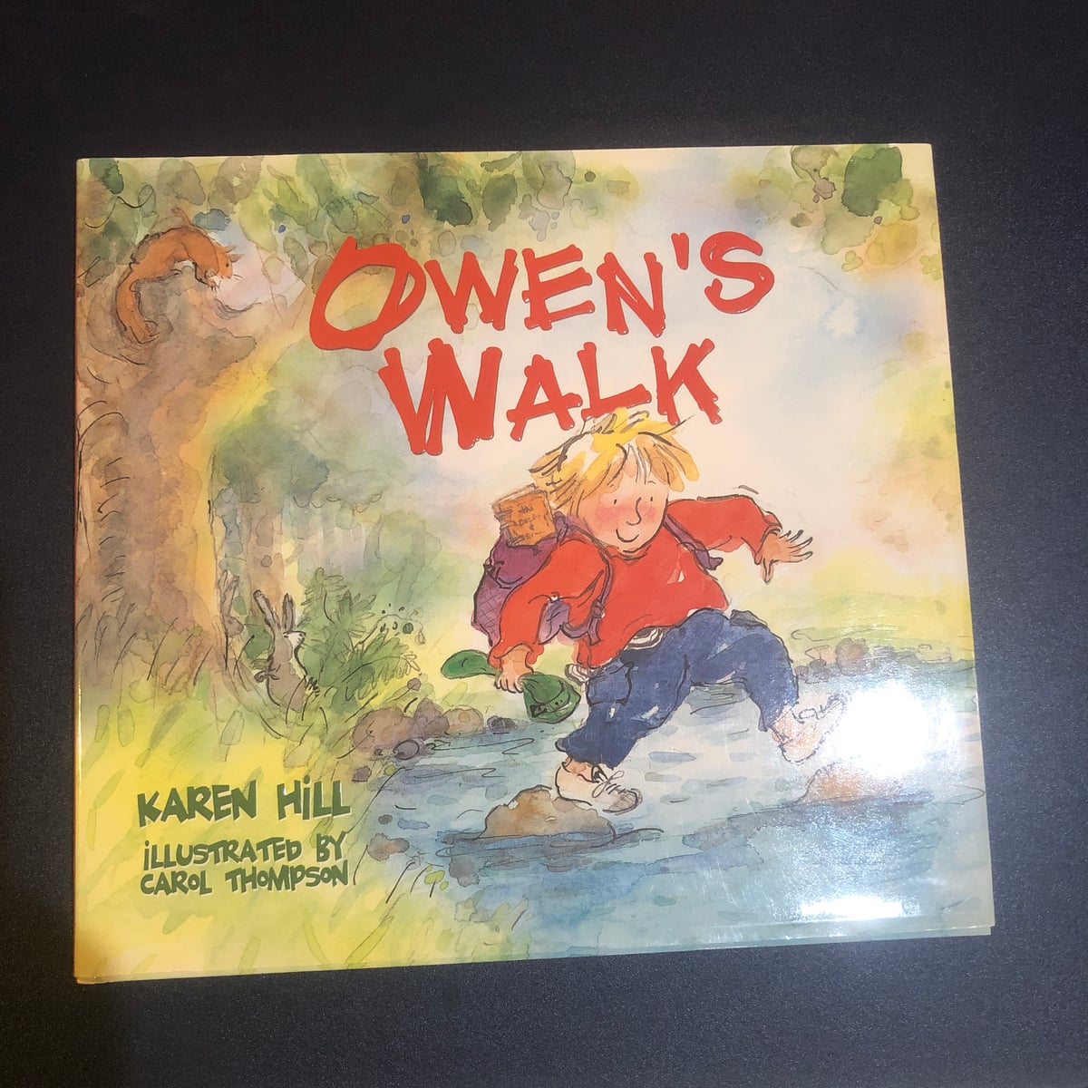 owen-s-walk-by-karen-hill-hardcover-pangobooks