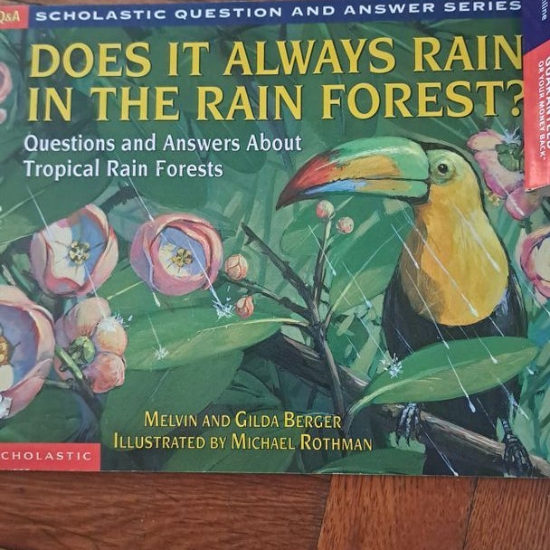 Does It Always Rain in the Rain Forest?