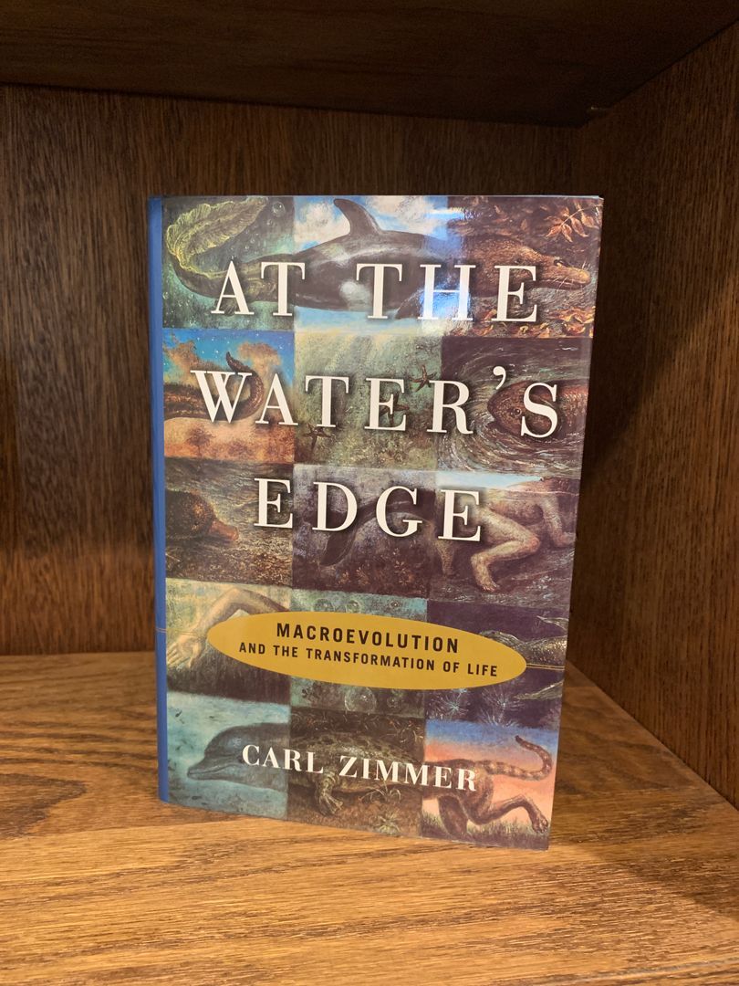 At the Water's Edge